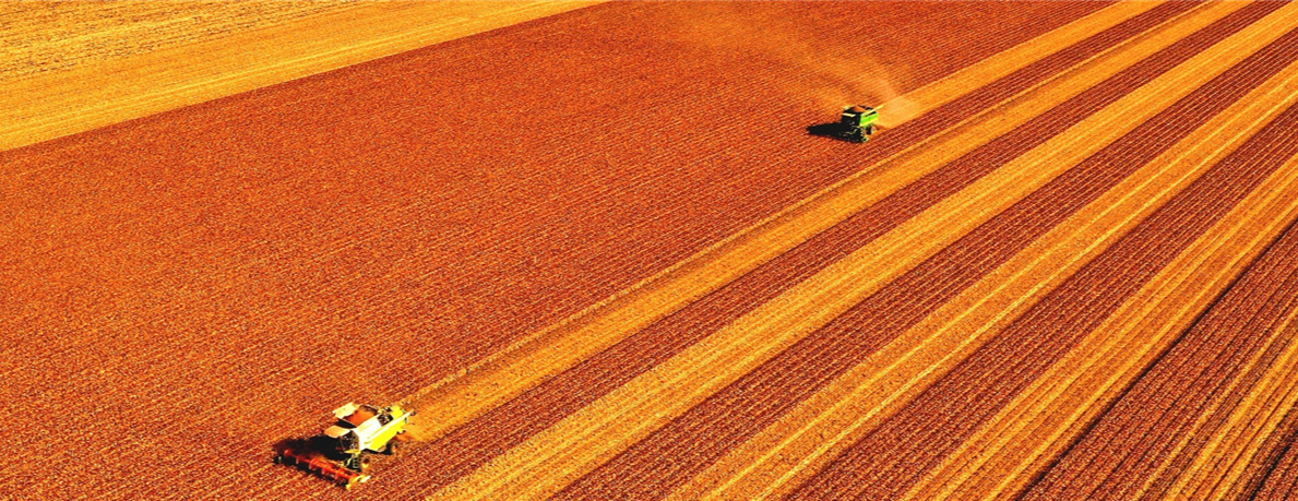 1623914536399272.png 3.png