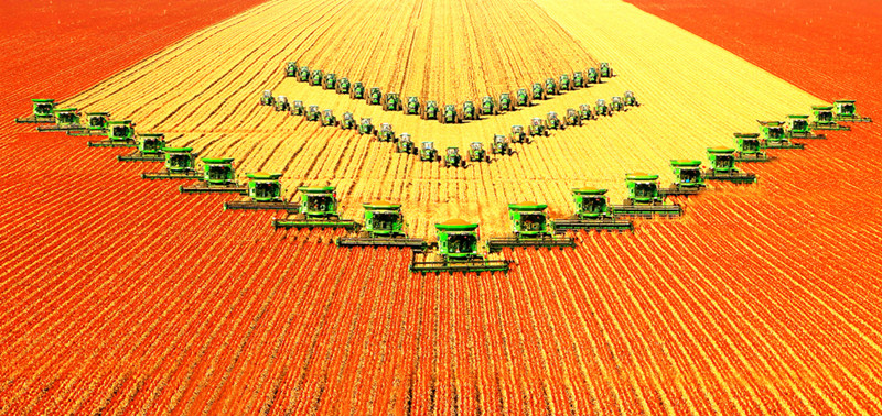 1623914614635762.jpg 9.jpg