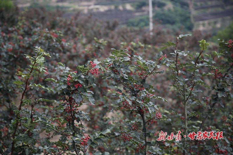 1628043760497755.jpg GetAttachment.jpg