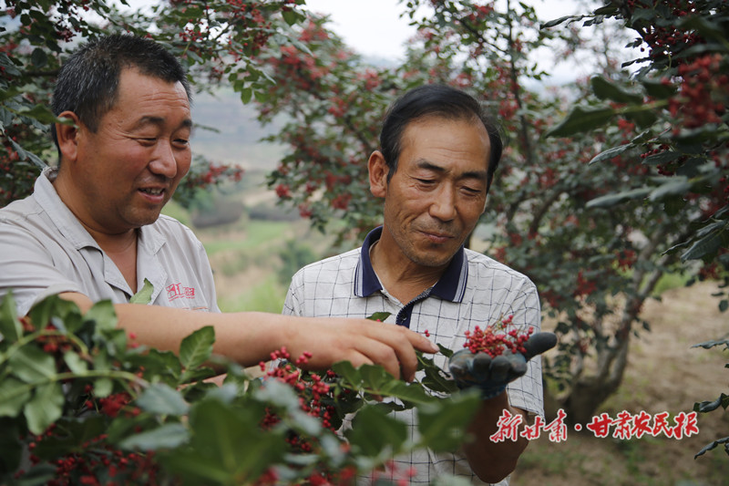 1628043803145631.jpg GetAttachment (4).jpg