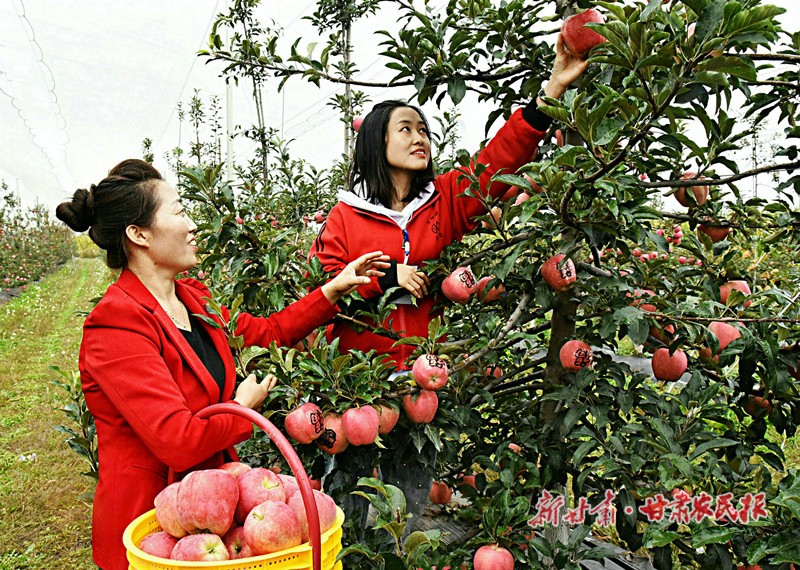 微信图片_20210924230632_副本.jpg