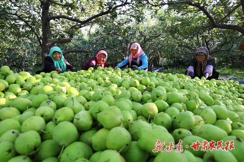 微信图片_20210924230720_副本.jpg