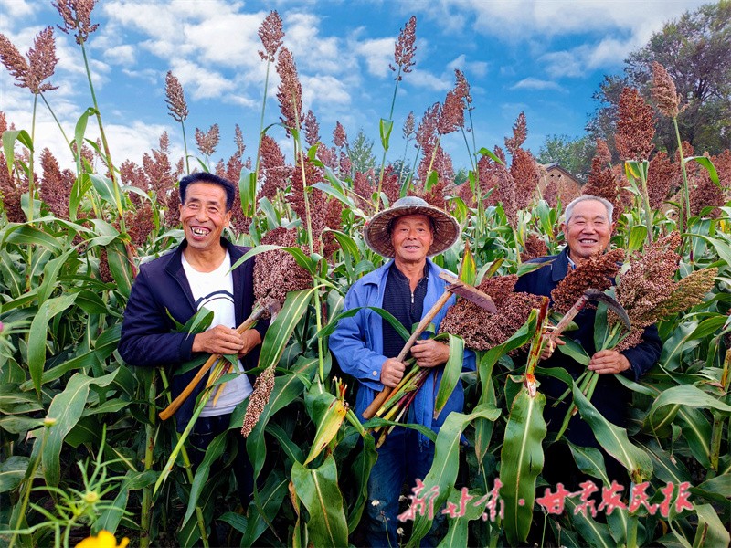 2、丰收的高粱惹得农人喜笑颜开.jpg