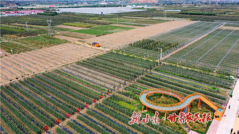 城川镇现代果业示范园俯瞰图.jpg