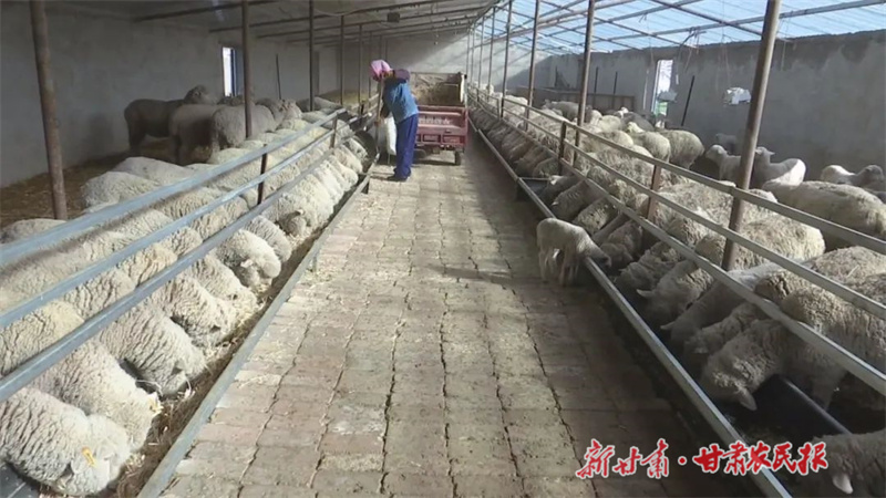 微信图片_20230220155427.jpg