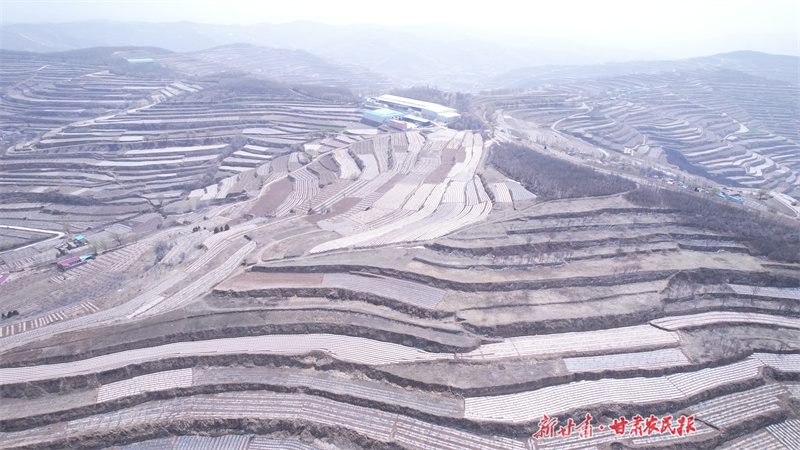 GetAttachment (2).jpg