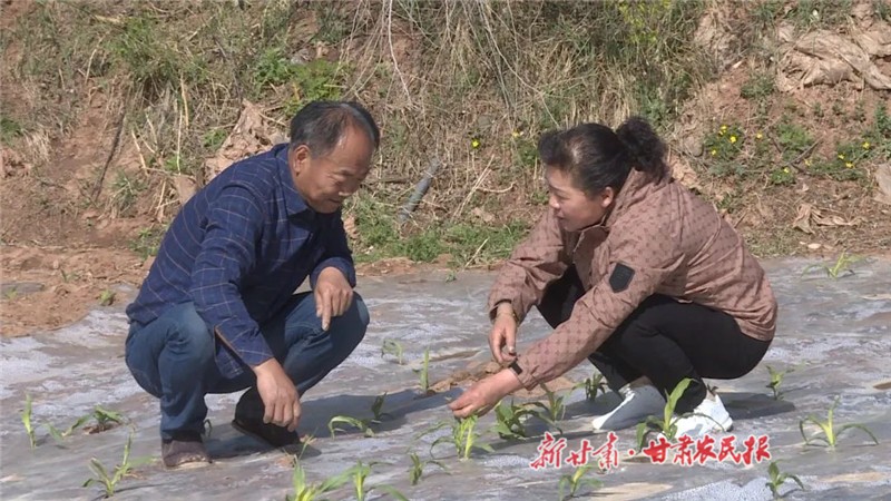 微信图片_20230509105726.jpg