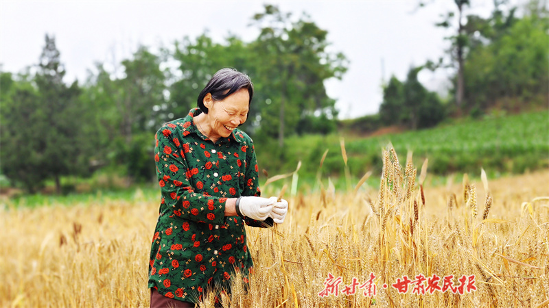 微信图片_20230616161427.jpg