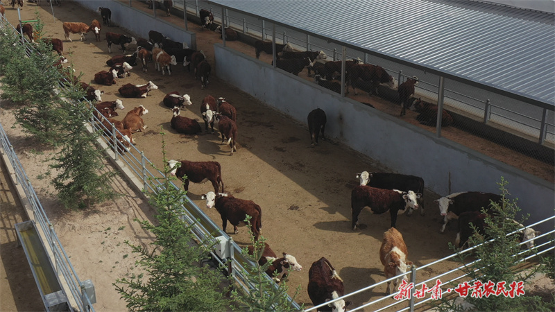 GetAttachment (1).jpg