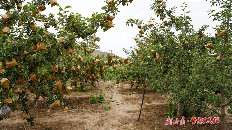 GetAttachment (3).jpg