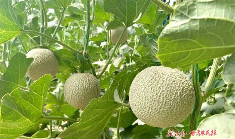 微信图片_20230629162303