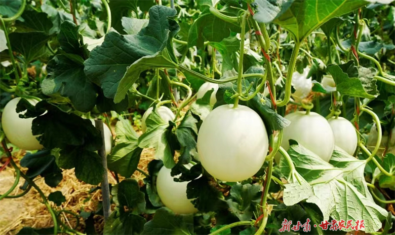 微信图片_20230629162448