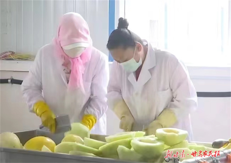 微信图片_20230629162445