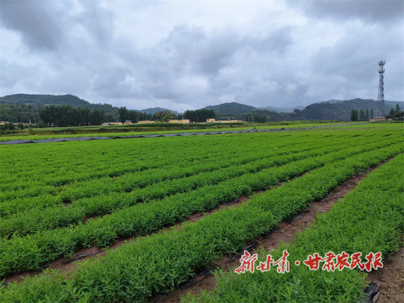 GetAttachment (4).jpg