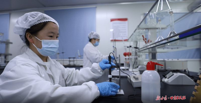 1690765158441530.png 1690024557113276.png