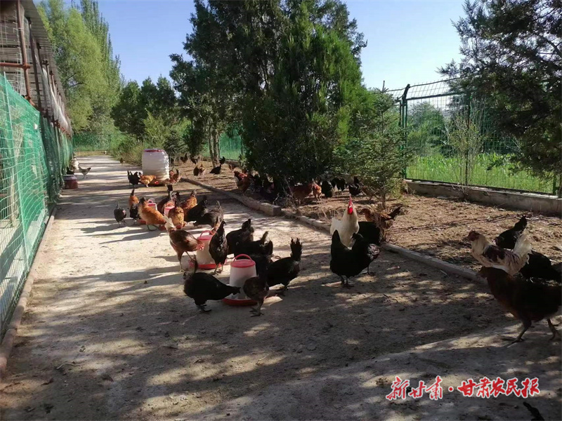 GetAttachment (3).jpg