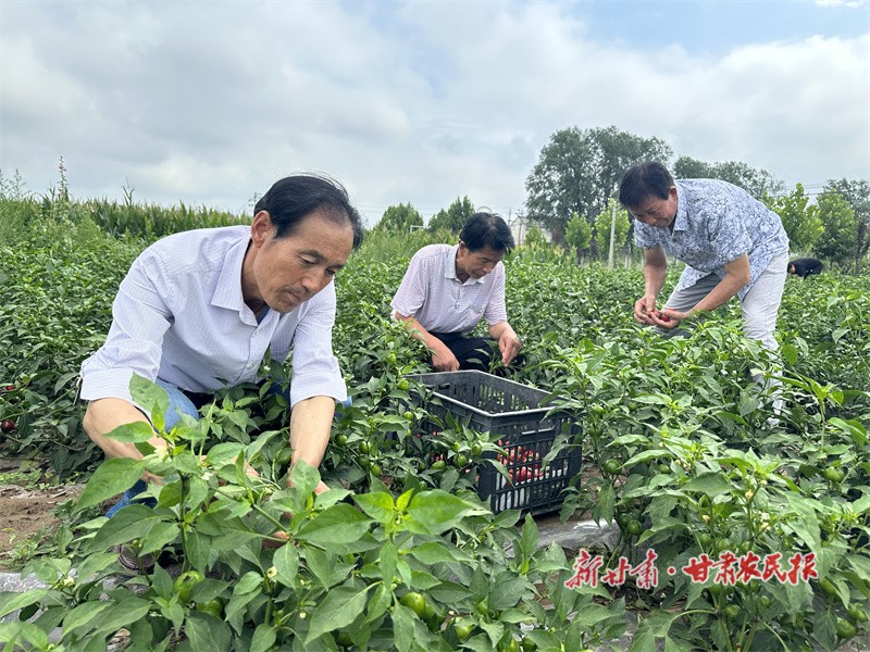 微信图片_20230814165151.jpg