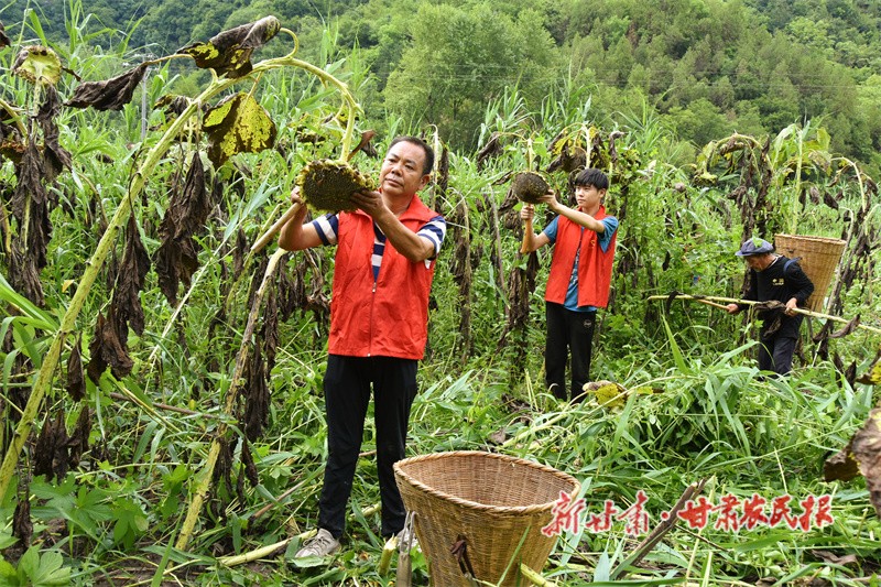 微信图片_20230821152907.jpg