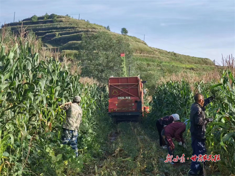 1695377732676499.jpg GetAttachment (10).jpg