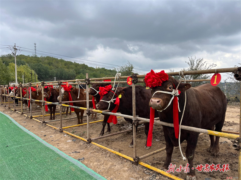 GetAttachment (8).jpg