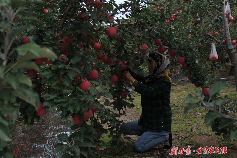 GetAttachment (9).jpg