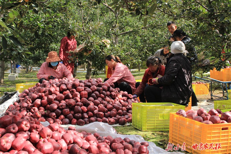 GetAttachment (10).jpg