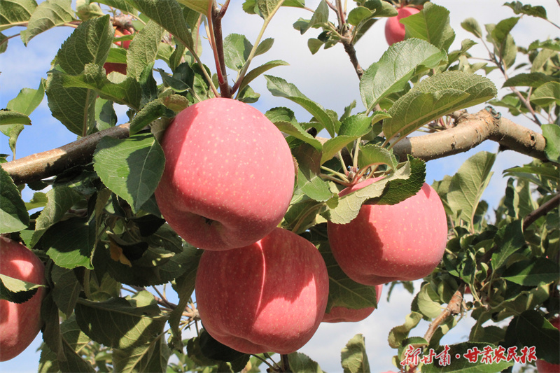 GetAttachment (13).jpg