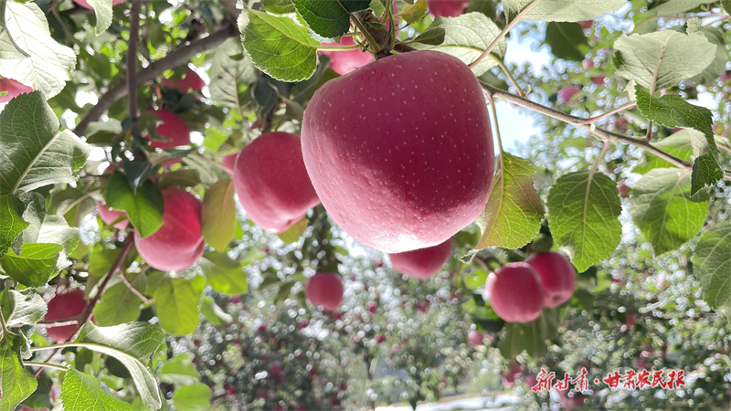 GetAttachment (18).jpg