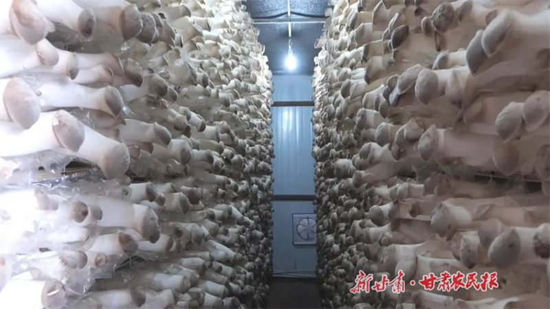 微信图片_20231122110210.png