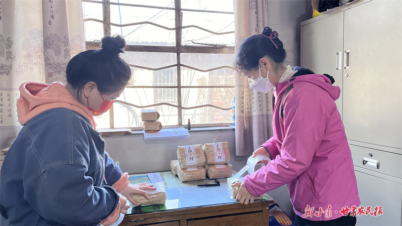 种子站工作人员封存抽样种子