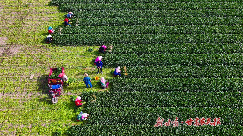 微信图片_20240520161259.jpg