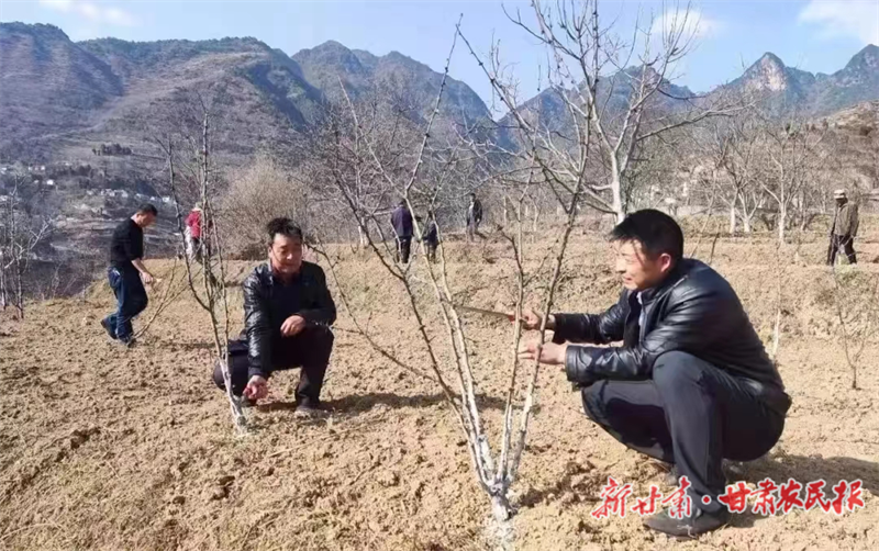 微信图片_20240522153338.png