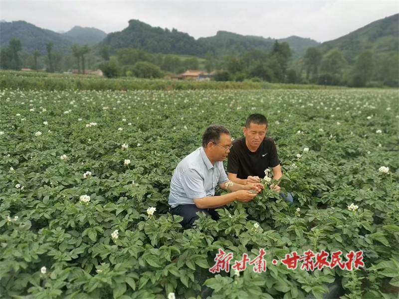 微信图片_20240828181643.jpg