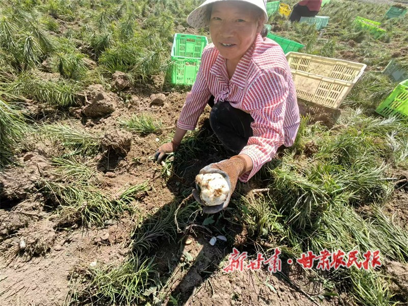 微信图片_20240904170436.jpg