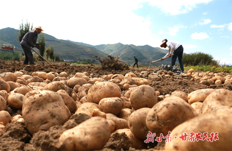 微信图片_20240920151427.jpg