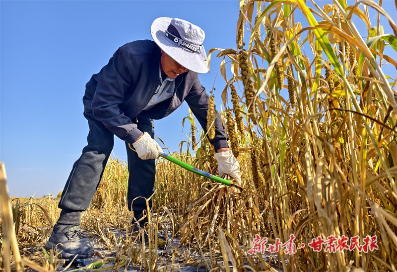 微信图片_20240920151434.jpg