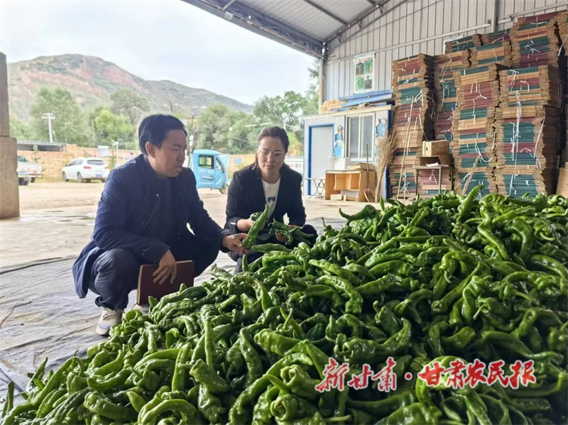 微信图片_20240923120946.jpg