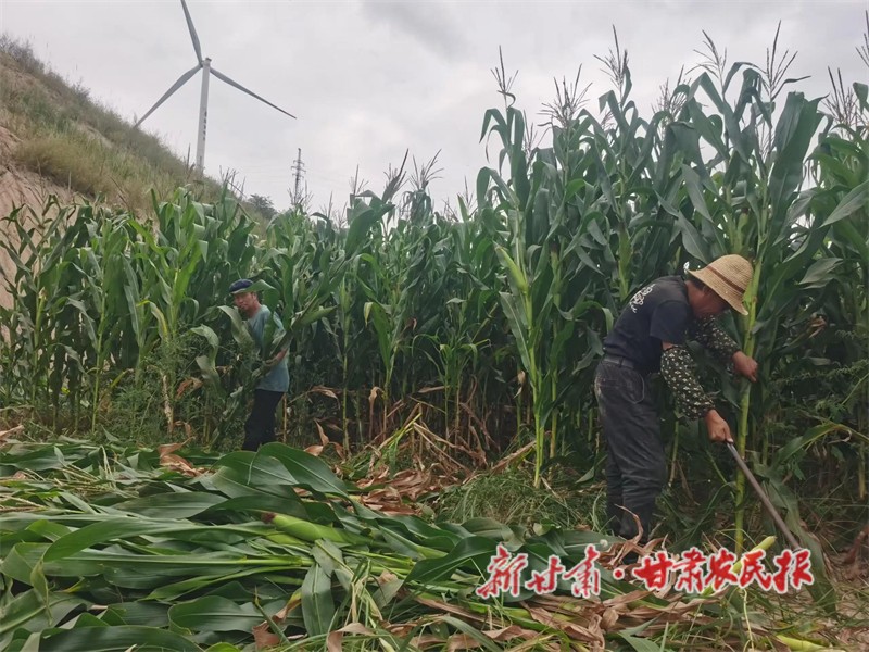 微信图片_20240919180519.jpg