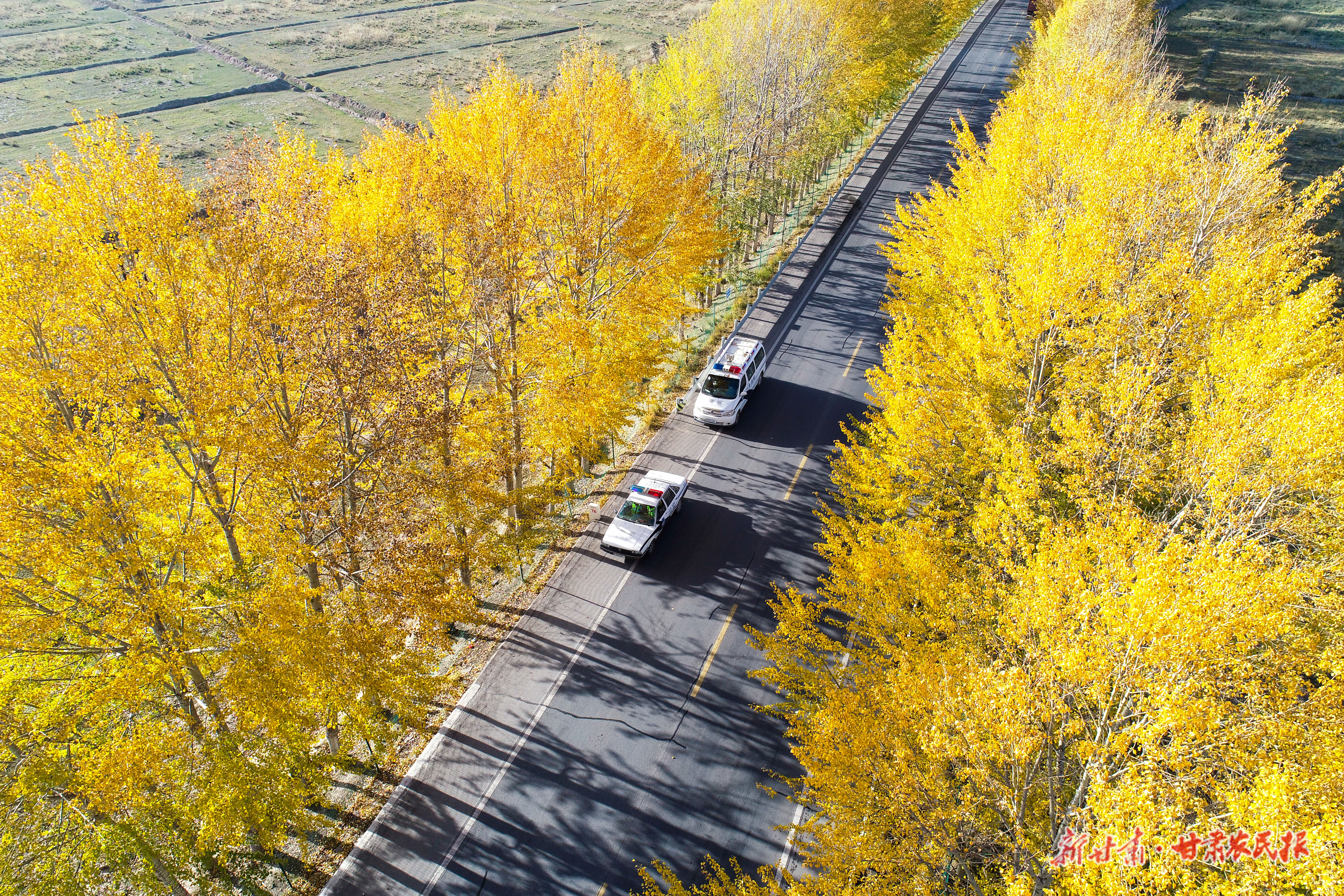 DJI_0006