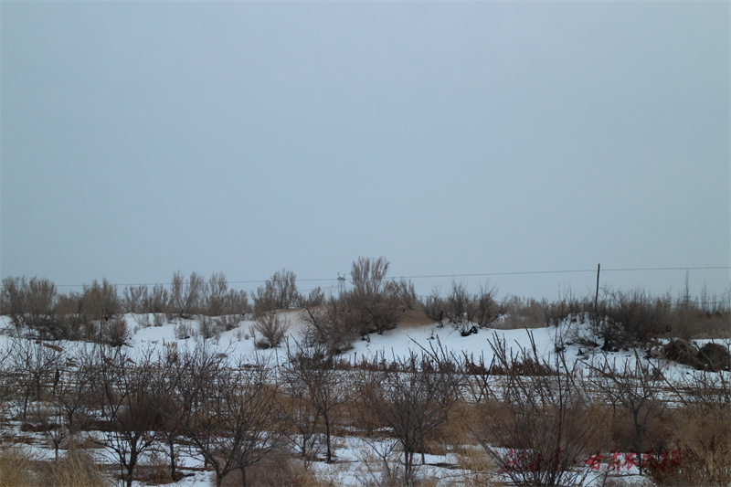 IMG_2569_副本.jpg