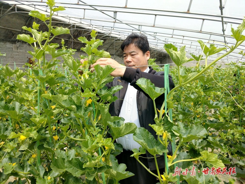 微信图片_20250207162131.jpg