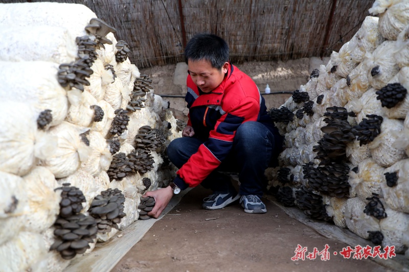 微信图片_20250214160138.jpg