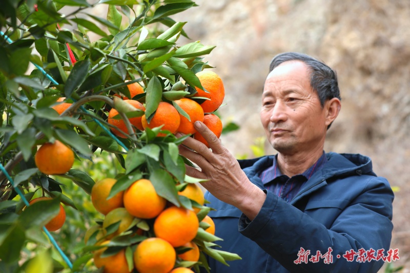 微信图片_20250221162622.jpg