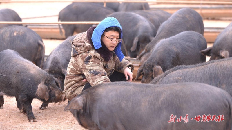 微信图片_20250221162613.jpg