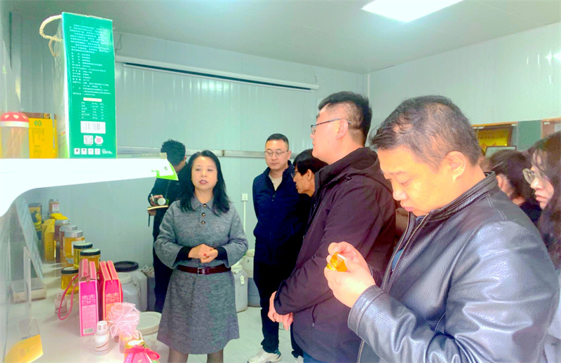 华亭市砚峡乡赴外地学习中蜂养殖技术1.jpg