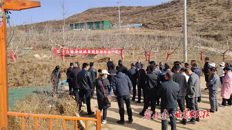 华亭市开展春季核桃园管护培训33.jpg
