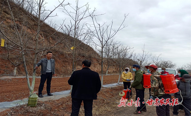华亭市开展春季核桃园管护培训.jpg
