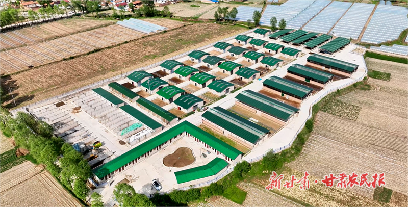 河西镇平凉红牛养殖基地.png