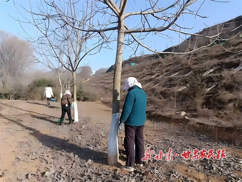 核桃果树涂白.jpg