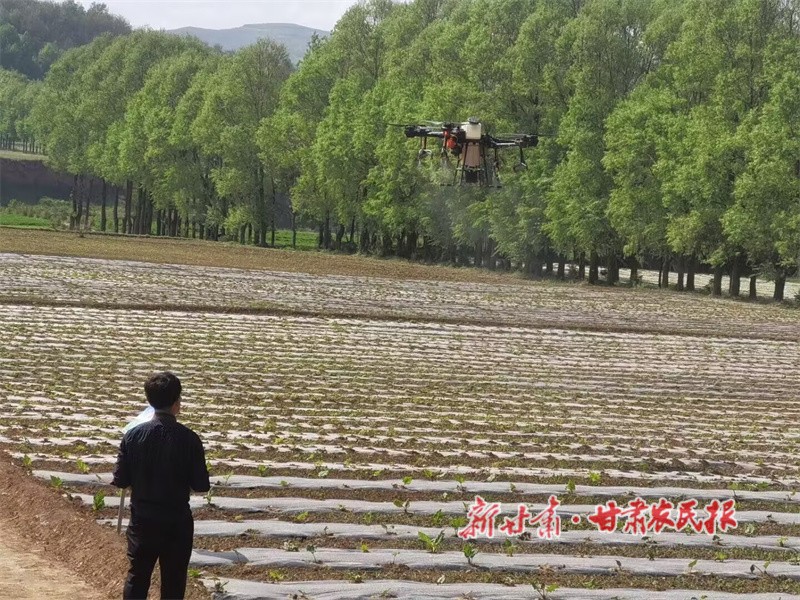 无人机喷洒生物菌剂.jpg